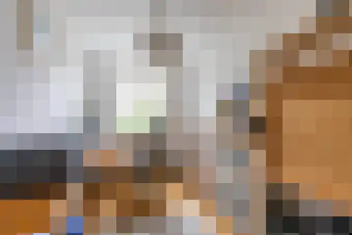Rozemarijnstraat 17 Groningen thumbnail 36