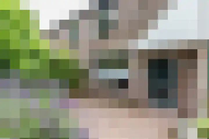 Rozemarijnstraat 17 Groningen thumbnail 4