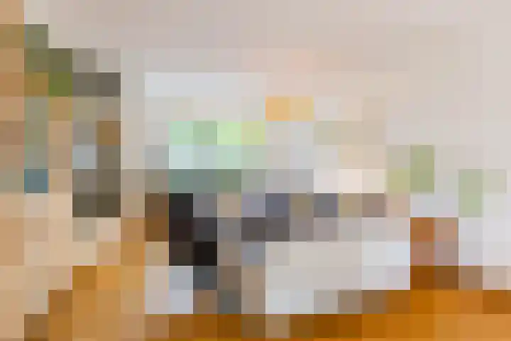 Rozemarijnstraat 17 Groningen thumbnail 7
