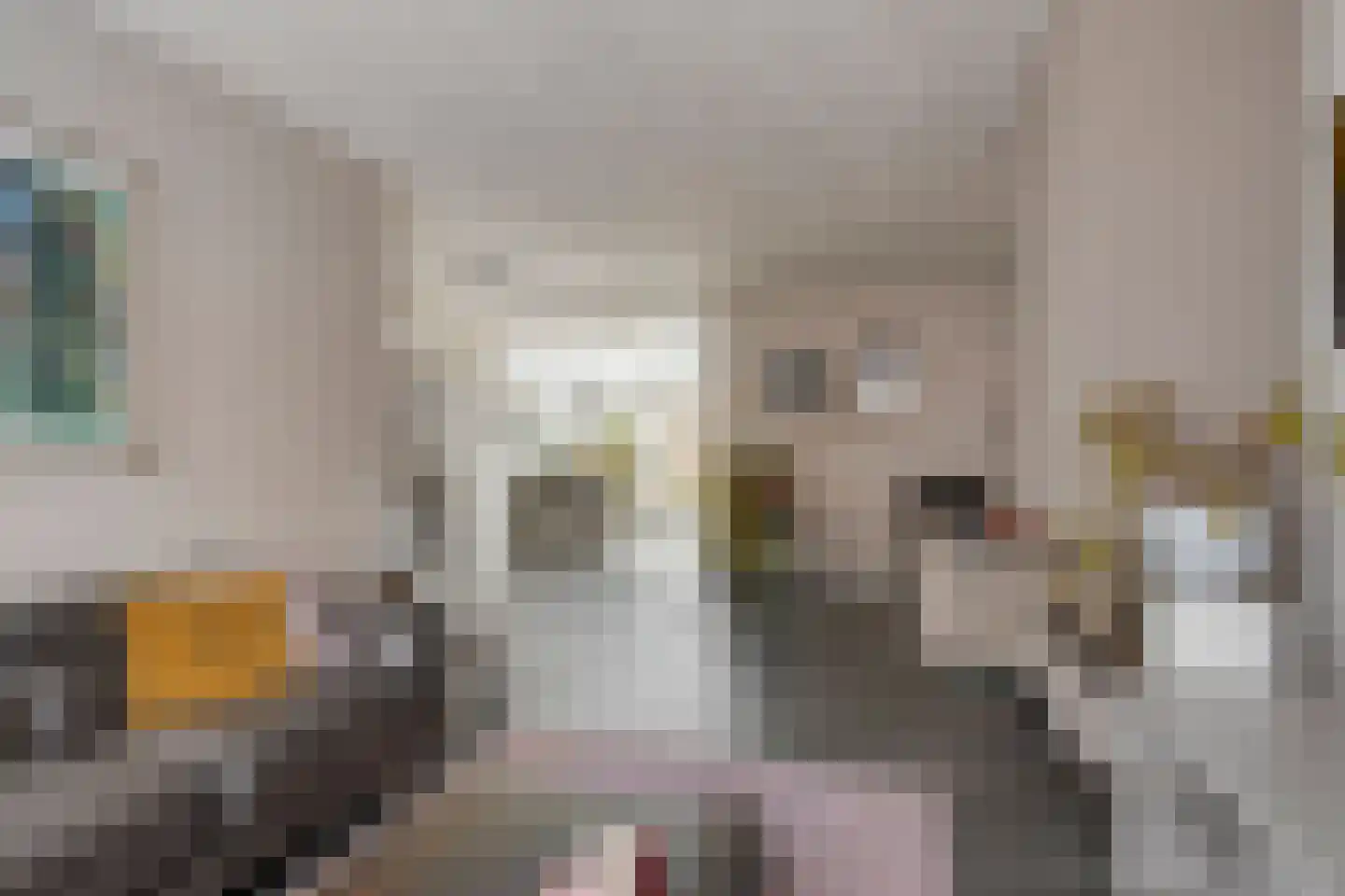 Rozemarijnstraat 23 Eindhoven thumbnail 11
