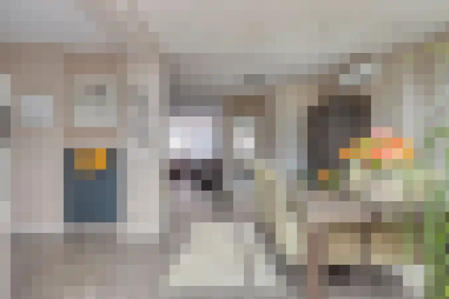 Rozemarijnstraat 23 Eindhoven thumbnail 18