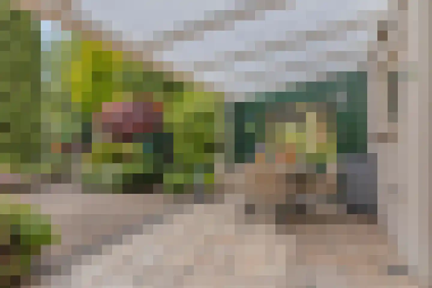 Rozemarijnstraat 23 Eindhoven thumbnail 31
