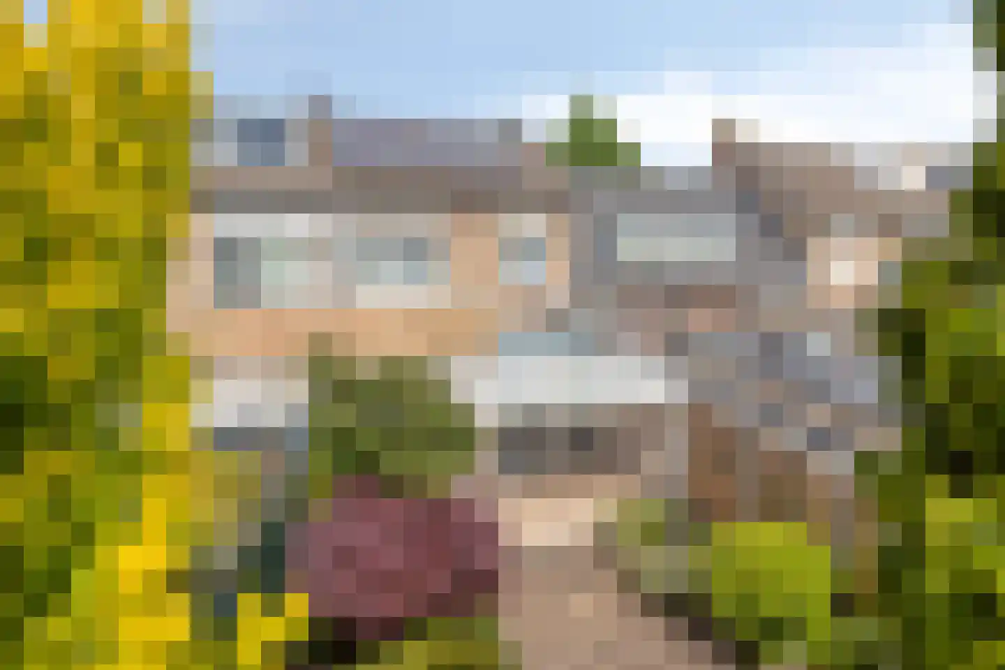 Rozemarijnstraat 23 Eindhoven thumbnail 36