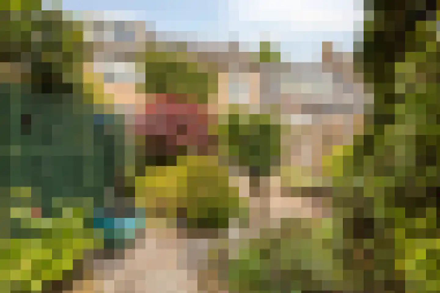 Rozemarijnstraat 23 Eindhoven thumbnail 37