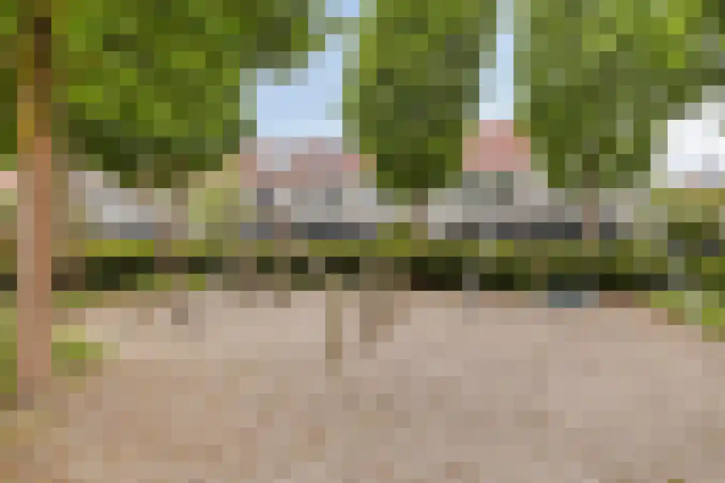 Rozemarijnstraat 23 Eindhoven thumbnail 41