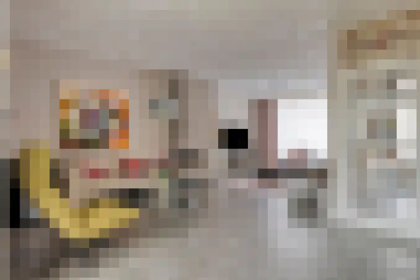 Rozemarijnstraat 23 Eindhoven thumbnail 9