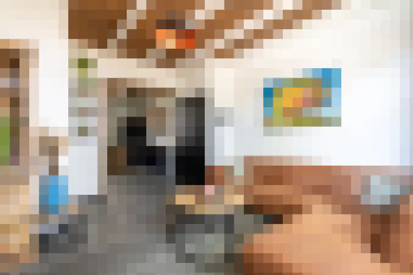 Rozemarijnstraat 24 IJzendijke thumbnail 10