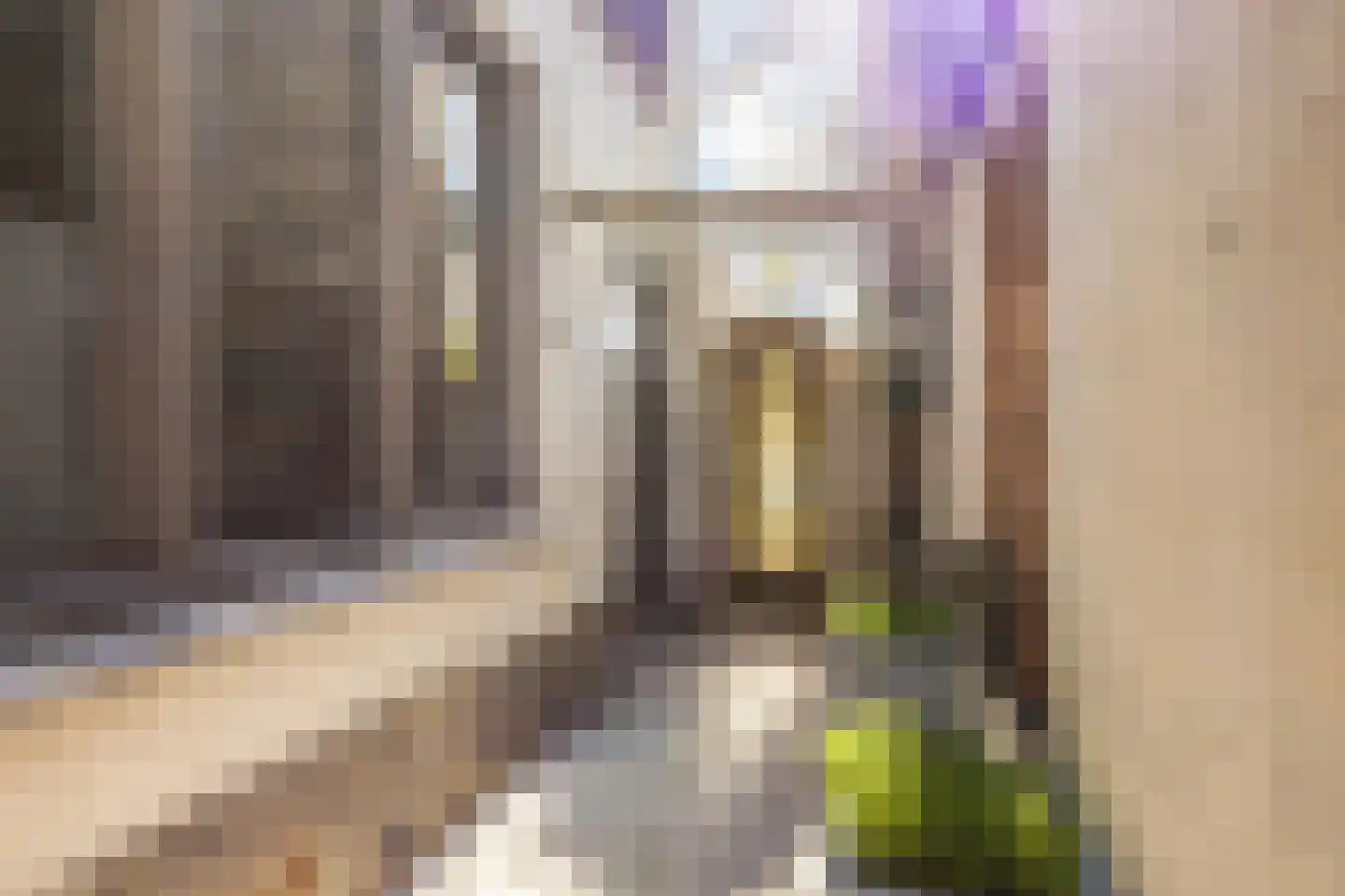 Rozemarijnstraat 24 IJzendijke thumbnail 25