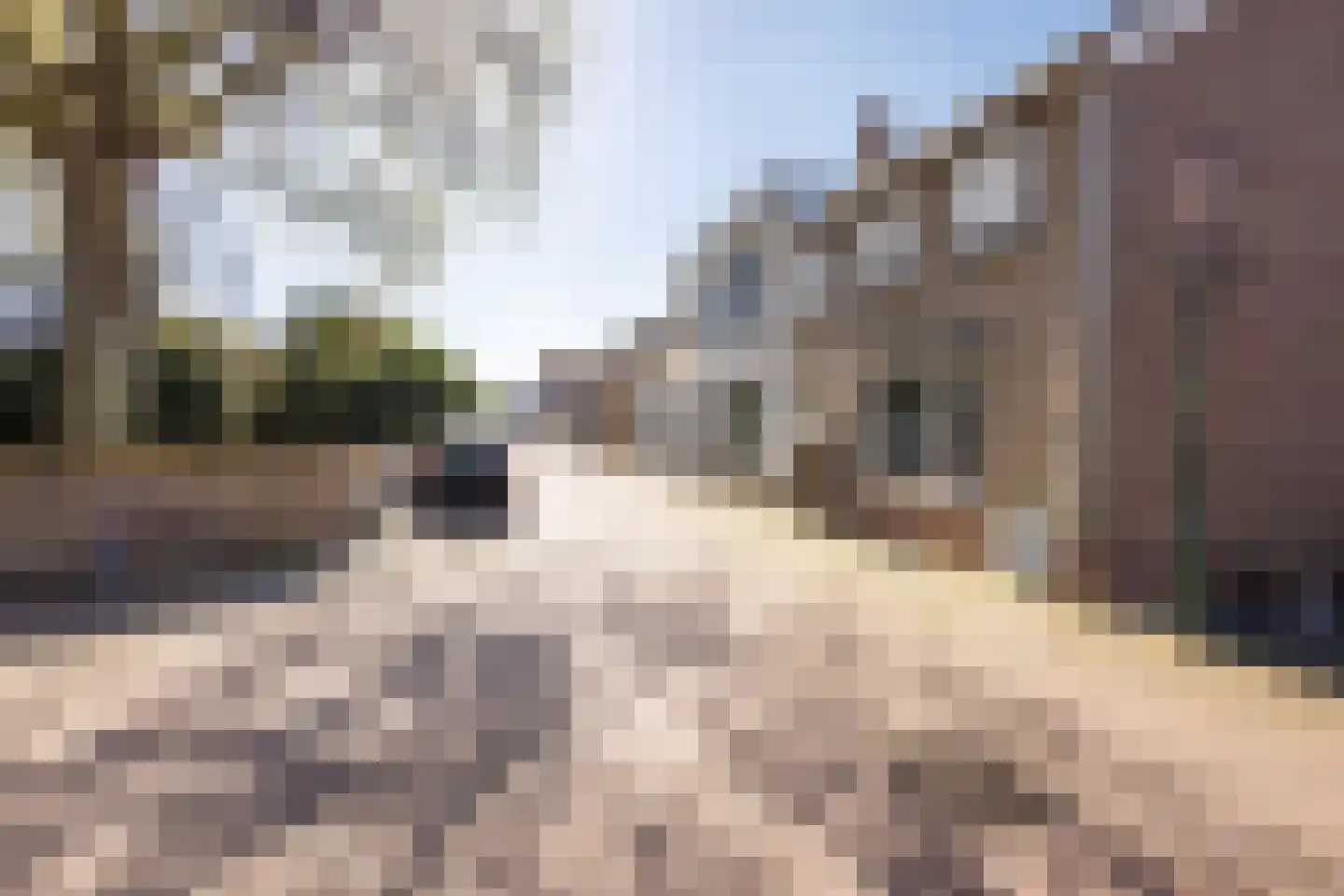 Rozemarijnstraat 24 IJzendijke thumbnail 26