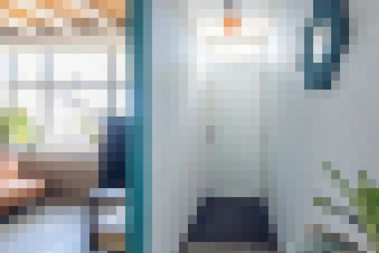Rozemarijnstraat 24 IJzendijke thumbnail 6