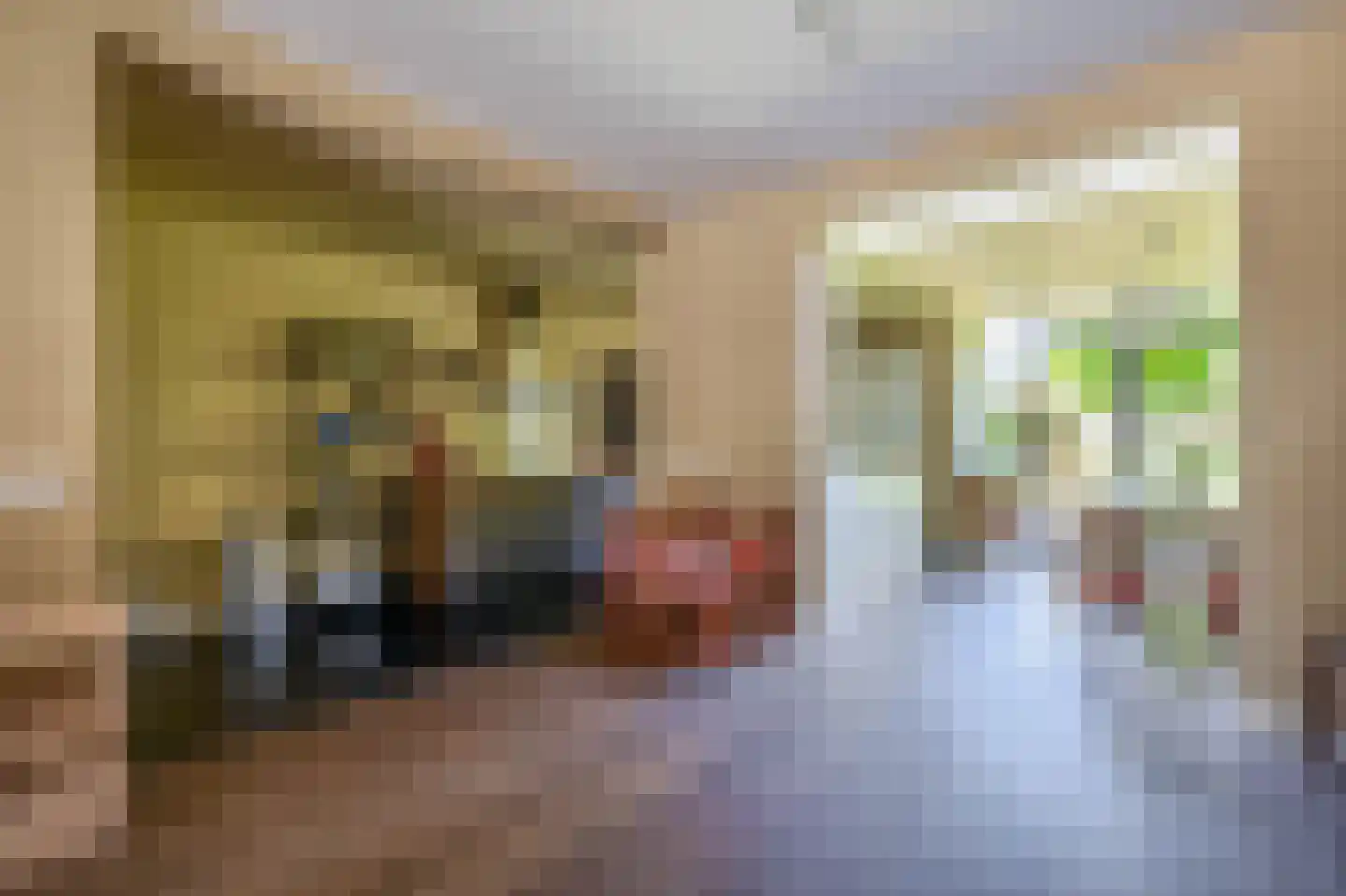 Rozemarijnstraat 26 Eindhoven thumbnail 14