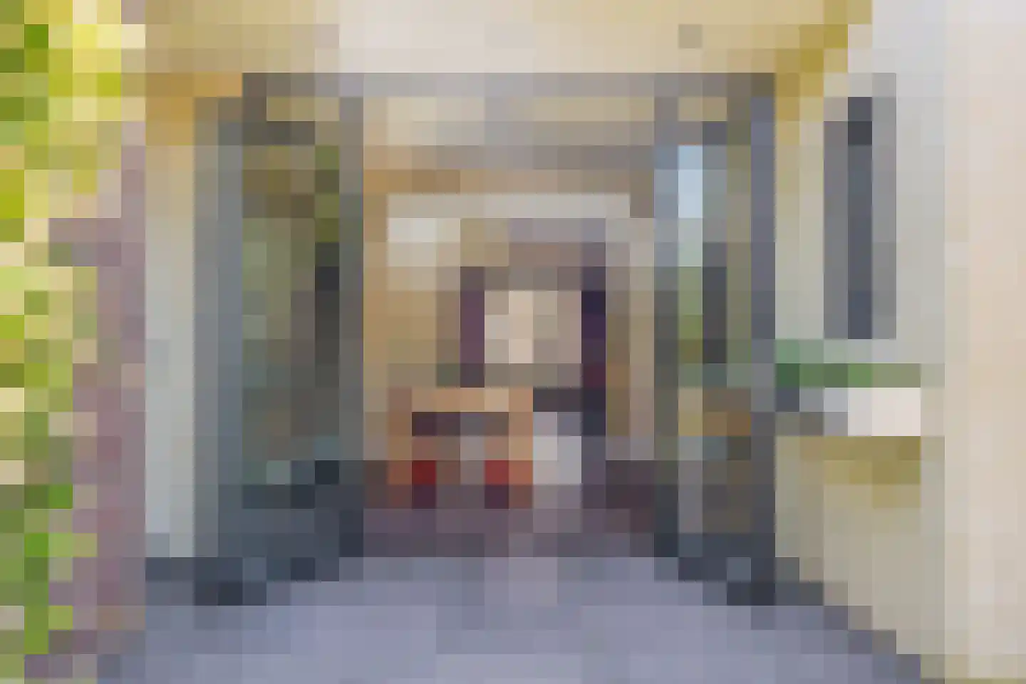Rozemarijnstraat 26 Eindhoven thumbnail 17