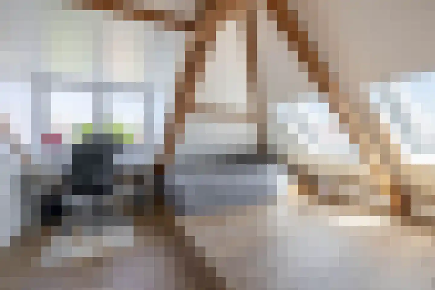 Rozemarijnstraat 26 Eindhoven thumbnail 36