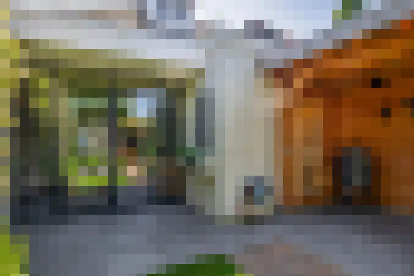 Rozemarijnstraat 26 Eindhoven thumbnail 40