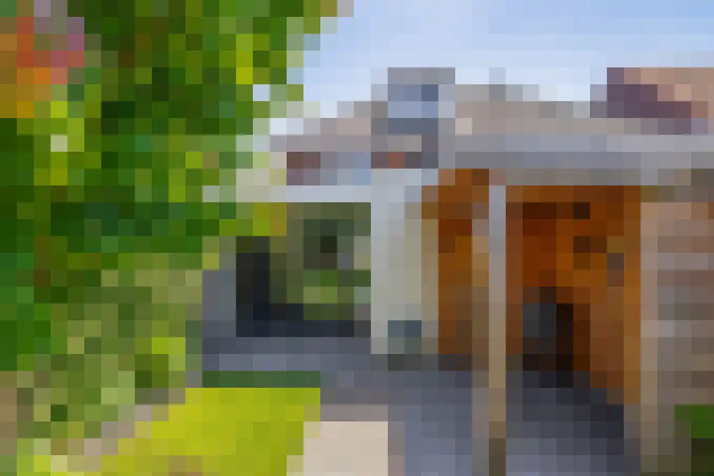 Rozemarijnstraat 26 Eindhoven thumbnail 48