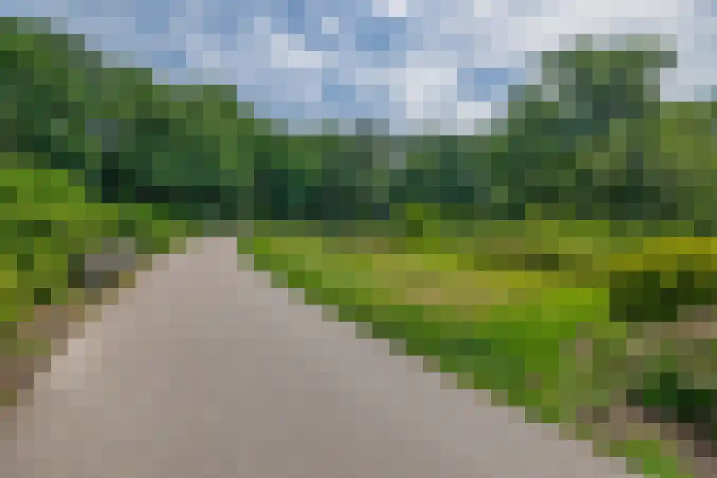Rozemarijnstraat 26 Eindhoven thumbnail 54