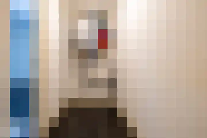 Rozemarijnstraat 3 Breda thumbnail 12