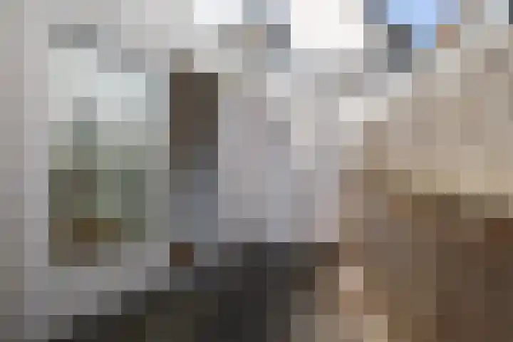 Rozemarijnstraat 3 Breda thumbnail 17