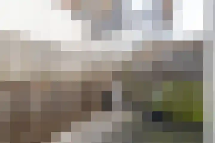Rozemarijnstraat 3 Breda thumbnail 19