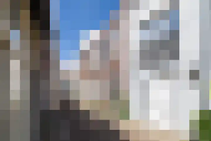 Rozemarijnstraat 3 Breda thumbnail 22