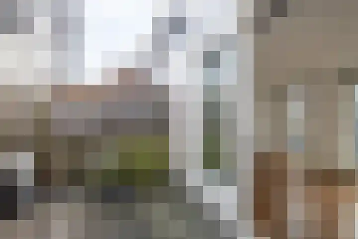 Rozemarijnstraat 3 Breda thumbnail 5