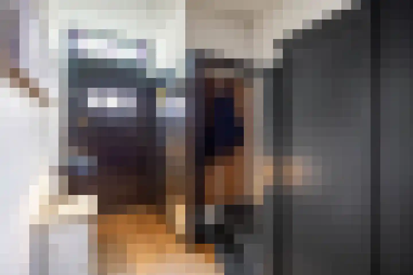 Rozemarijnstraat 3 Harlingen thumbnail 15