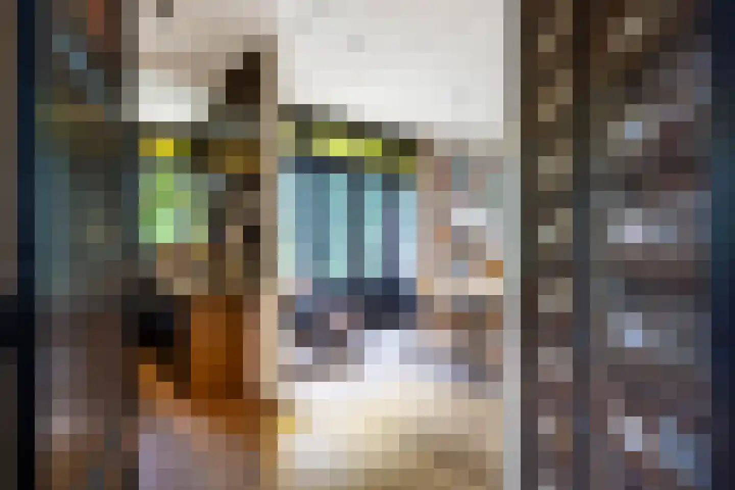 Rozemarijnstraat 3 Harlingen thumbnail 18