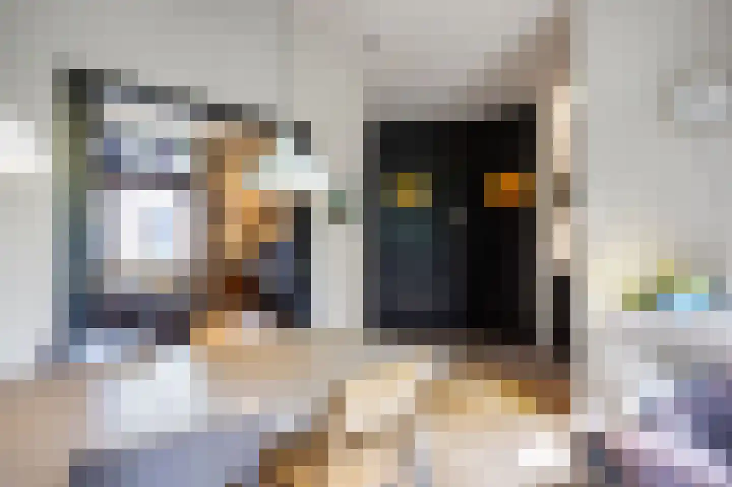 Rozemarijnstraat 3 Harlingen thumbnail 22