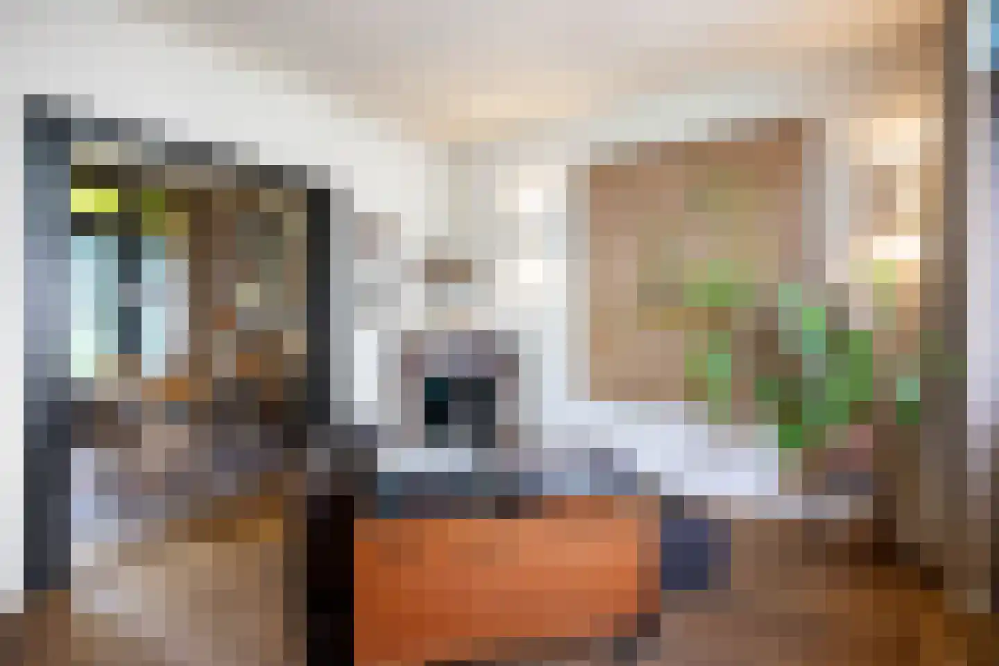 Rozemarijnstraat 3 Harlingen thumbnail 33