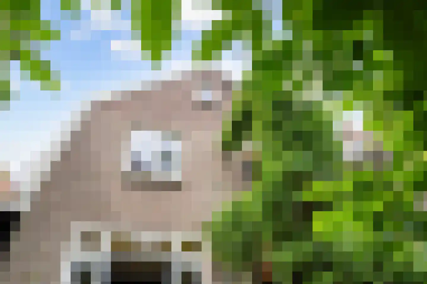 Rozemarijnstraat 3 Harlingen thumbnail 36