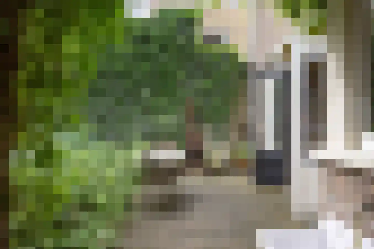 Rozemarijnstraat 3 Harlingen thumbnail 37