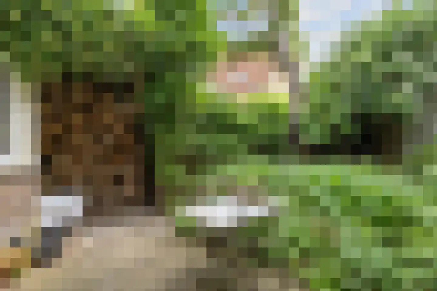 Rozemarijnstraat 3 Harlingen thumbnail 39
