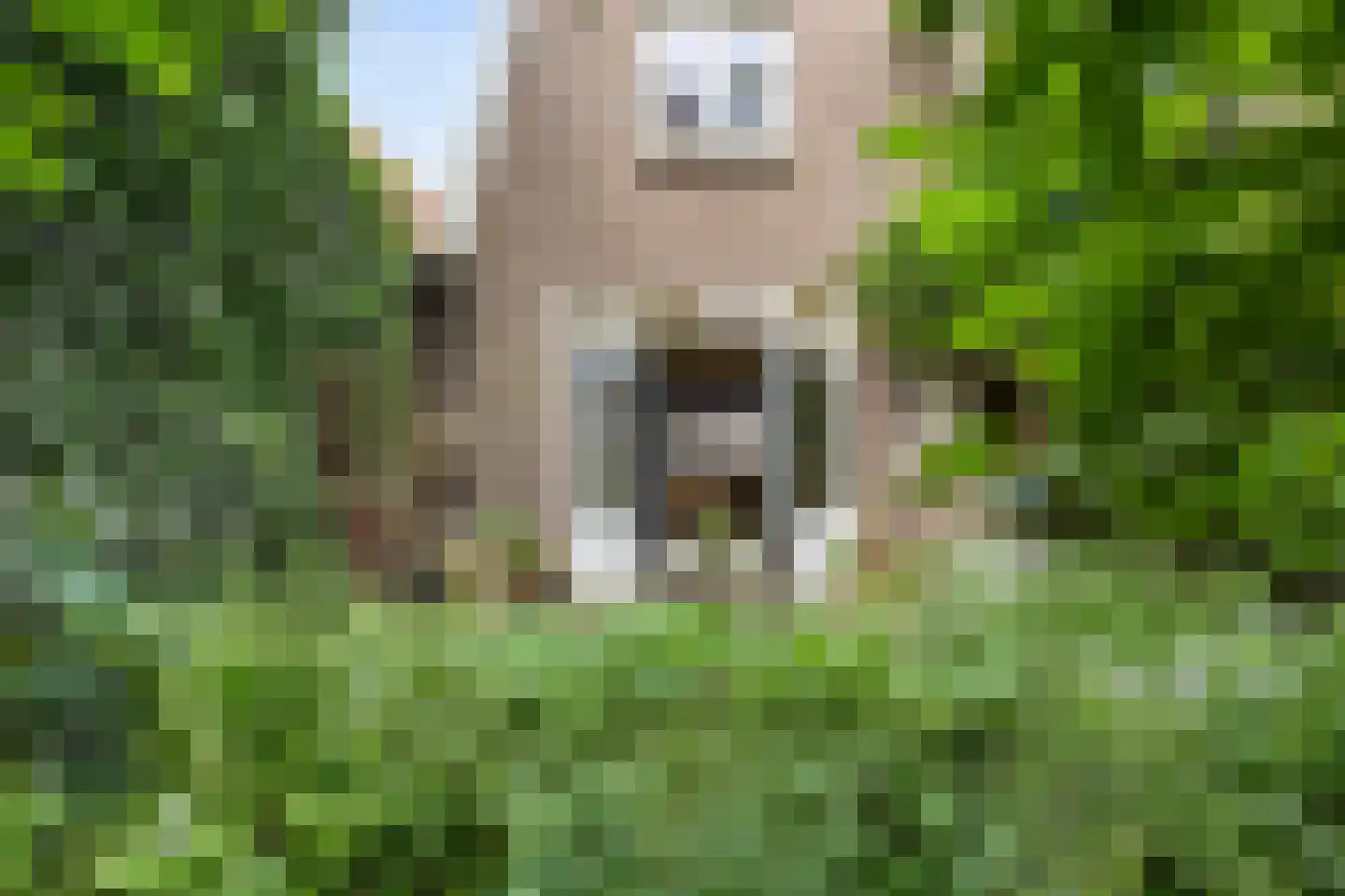Rozemarijnstraat 3 Harlingen thumbnail 42
