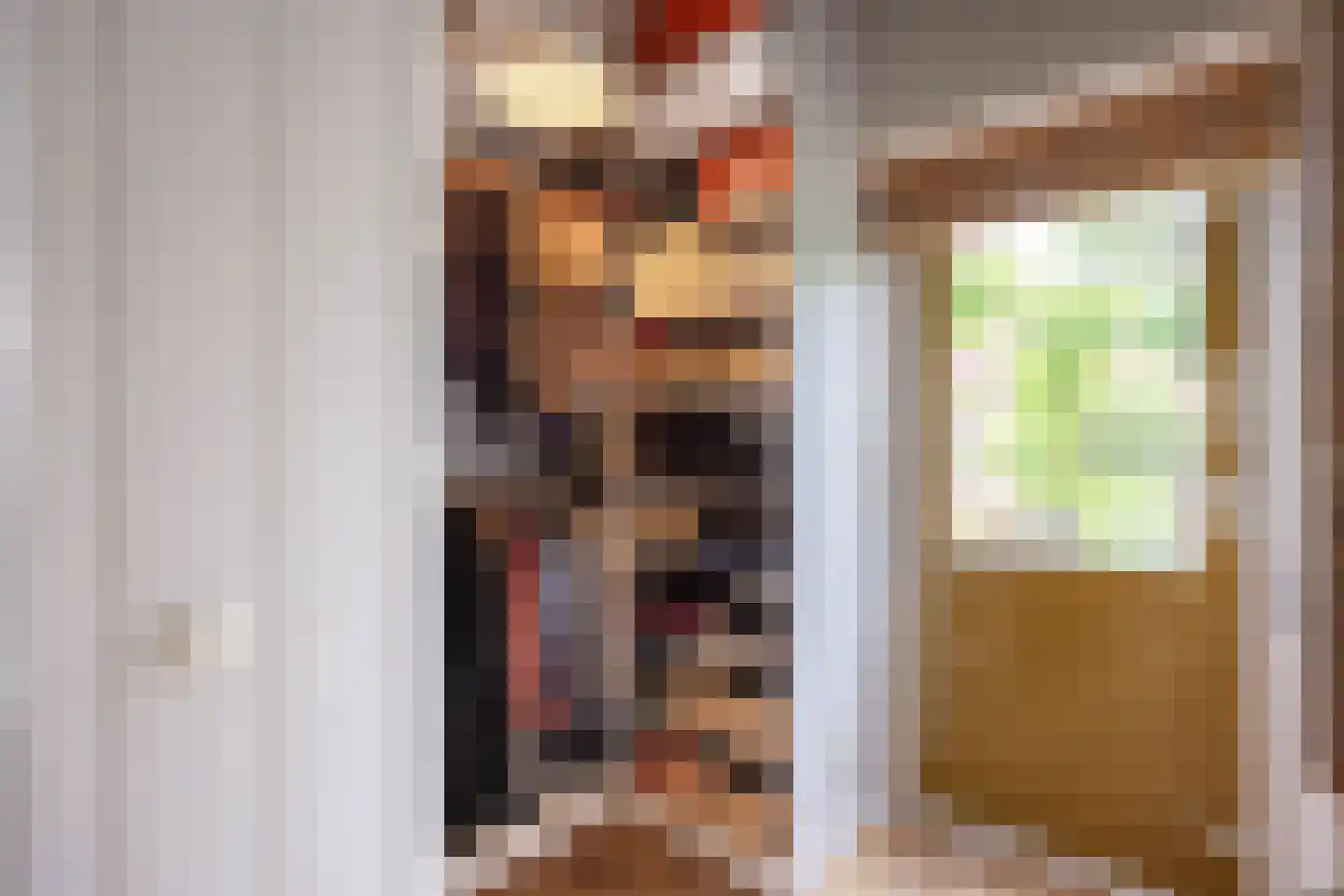 Rozemarijnstraat 3 Harlingen thumbnail 44