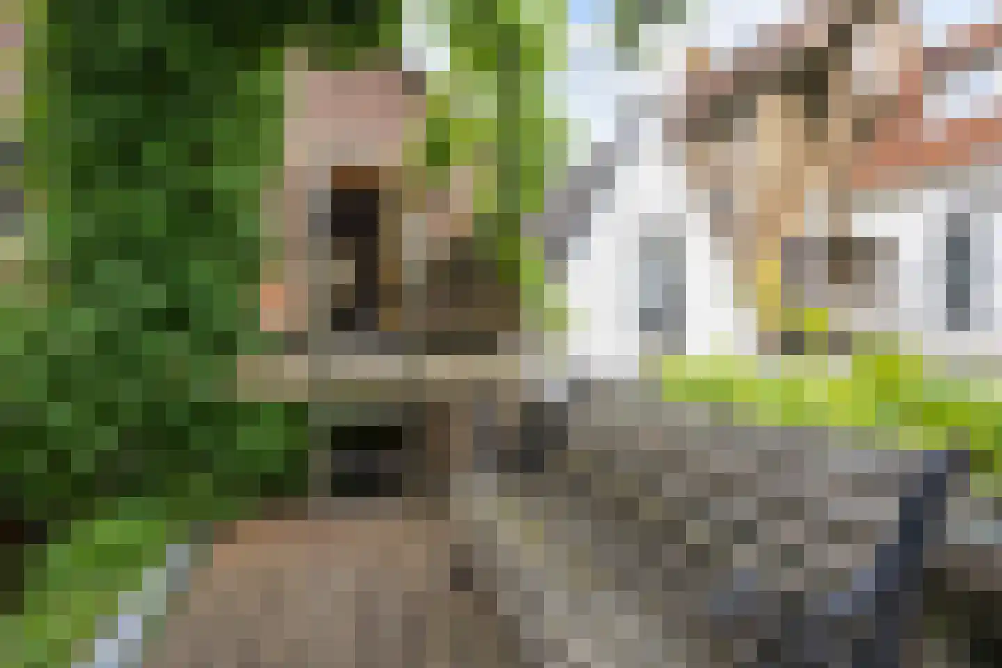 Rozemarijnstraat 3 Harlingen thumbnail 47