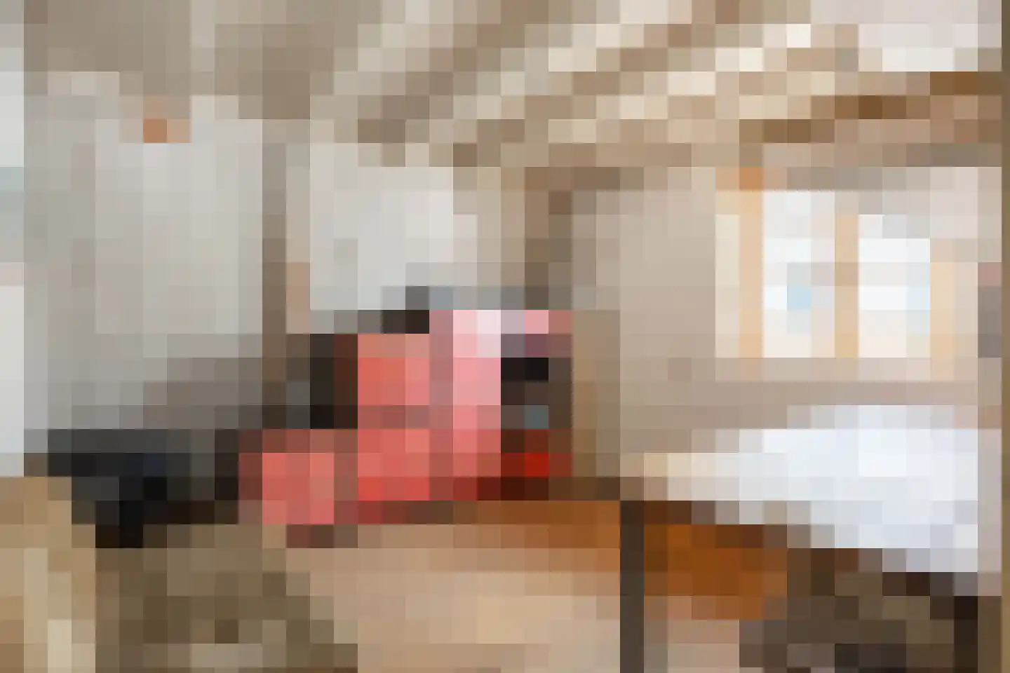 Rozemarijnstraat 3 Harlingen thumbnail 51