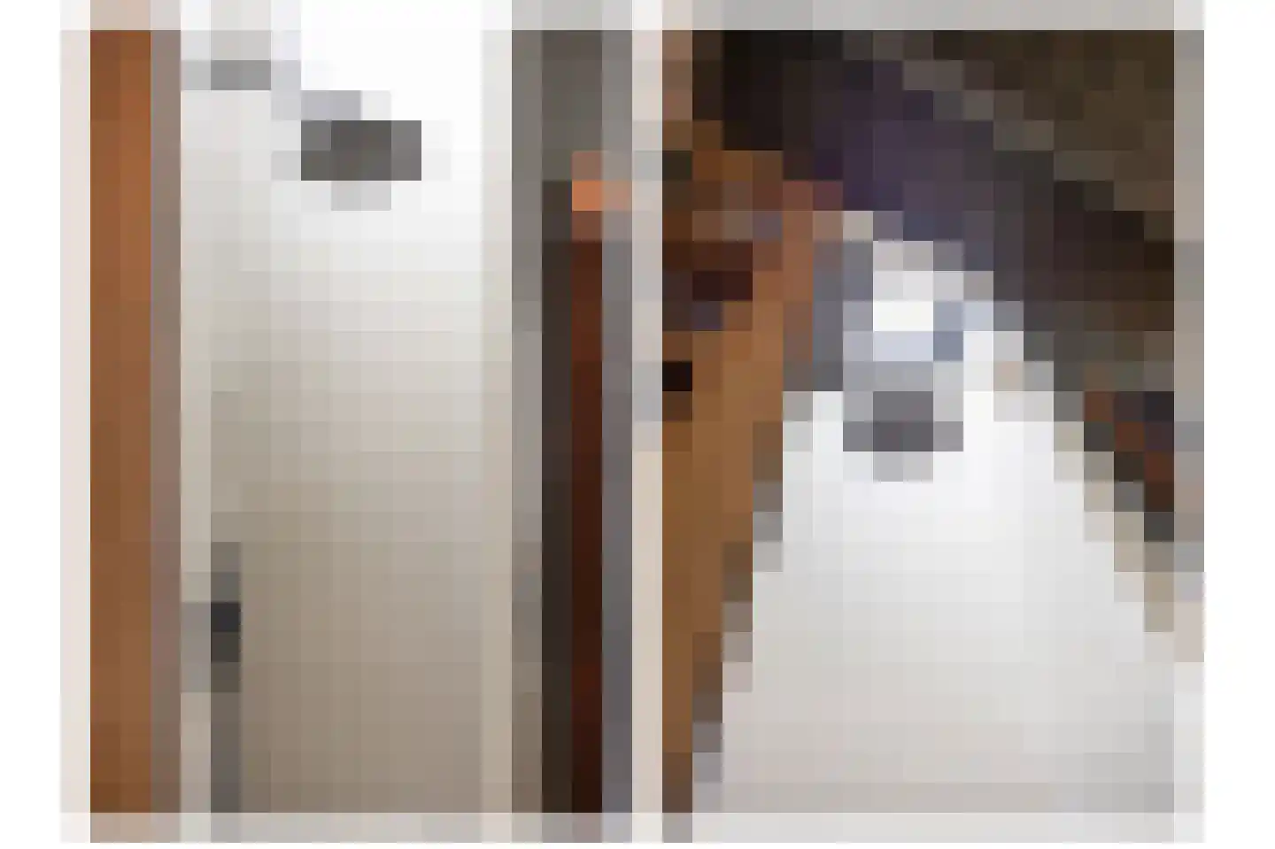Rozemarijnstraat 3 Harlingen thumbnail 57