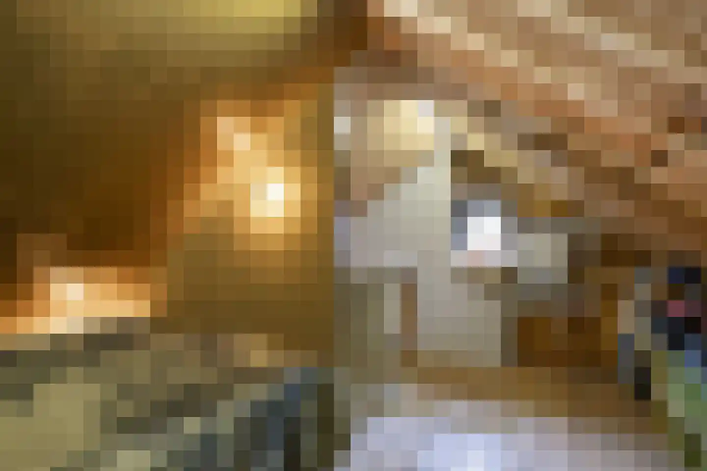 Rozemarijnstraat 3 Harlingen thumbnail 58