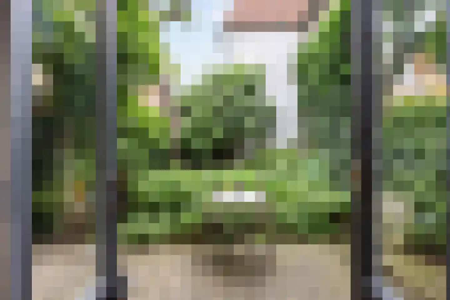 Rozemarijnstraat 3 Harlingen thumbnail 6