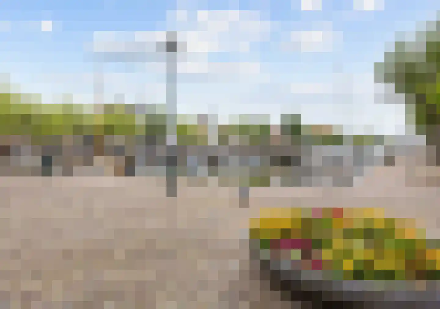 Rozemarijnstraat 3 Harlingen thumbnail 7
