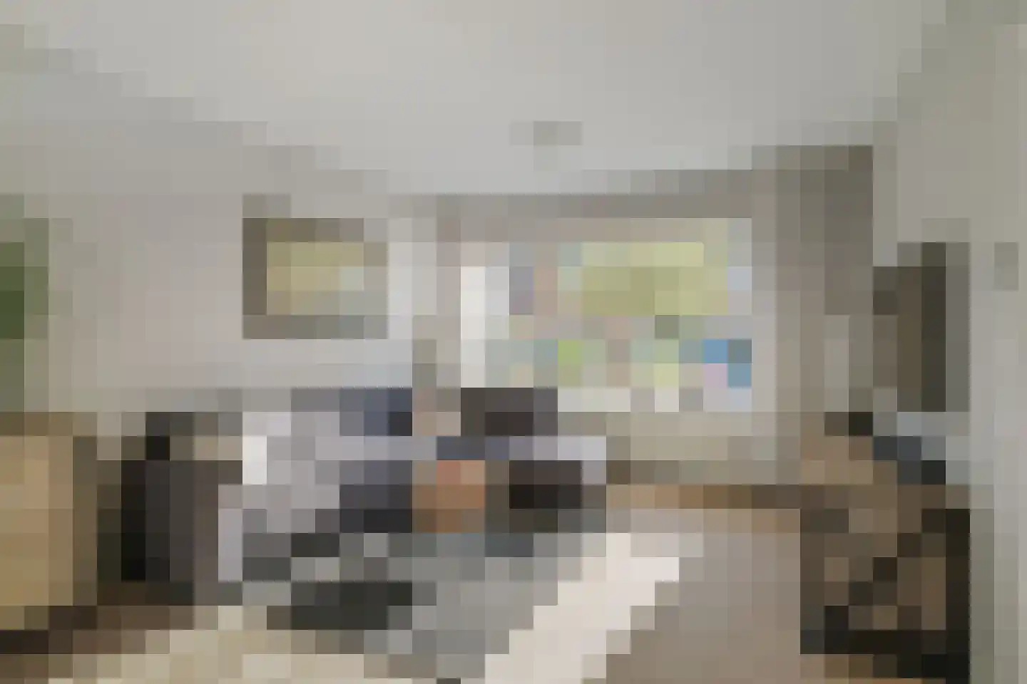 Rozemarijnstraat 3 Voorst thumbnail 6