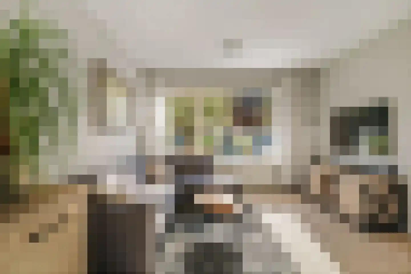 Rozemarijnstraat 3 Voorst thumbnail 7