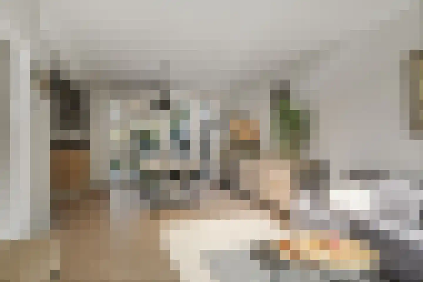 Rozemarijnstraat 3 Voorst thumbnail 8