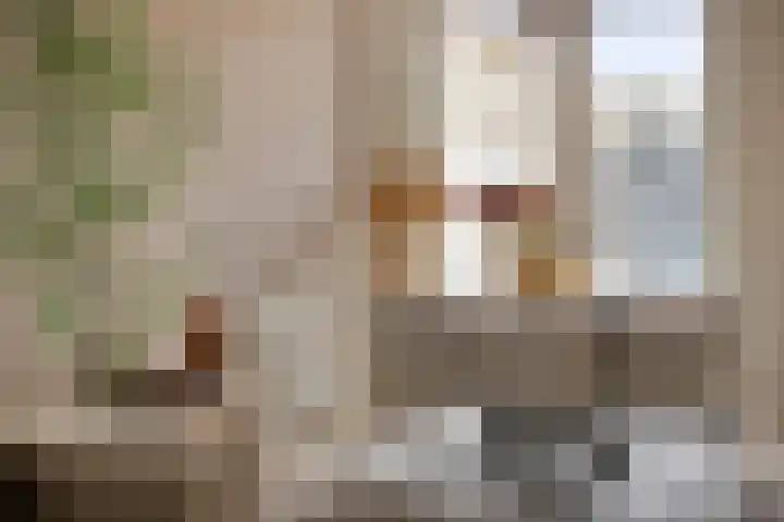 Rozemarijnstraat 30 Eindhoven thumbnail 21