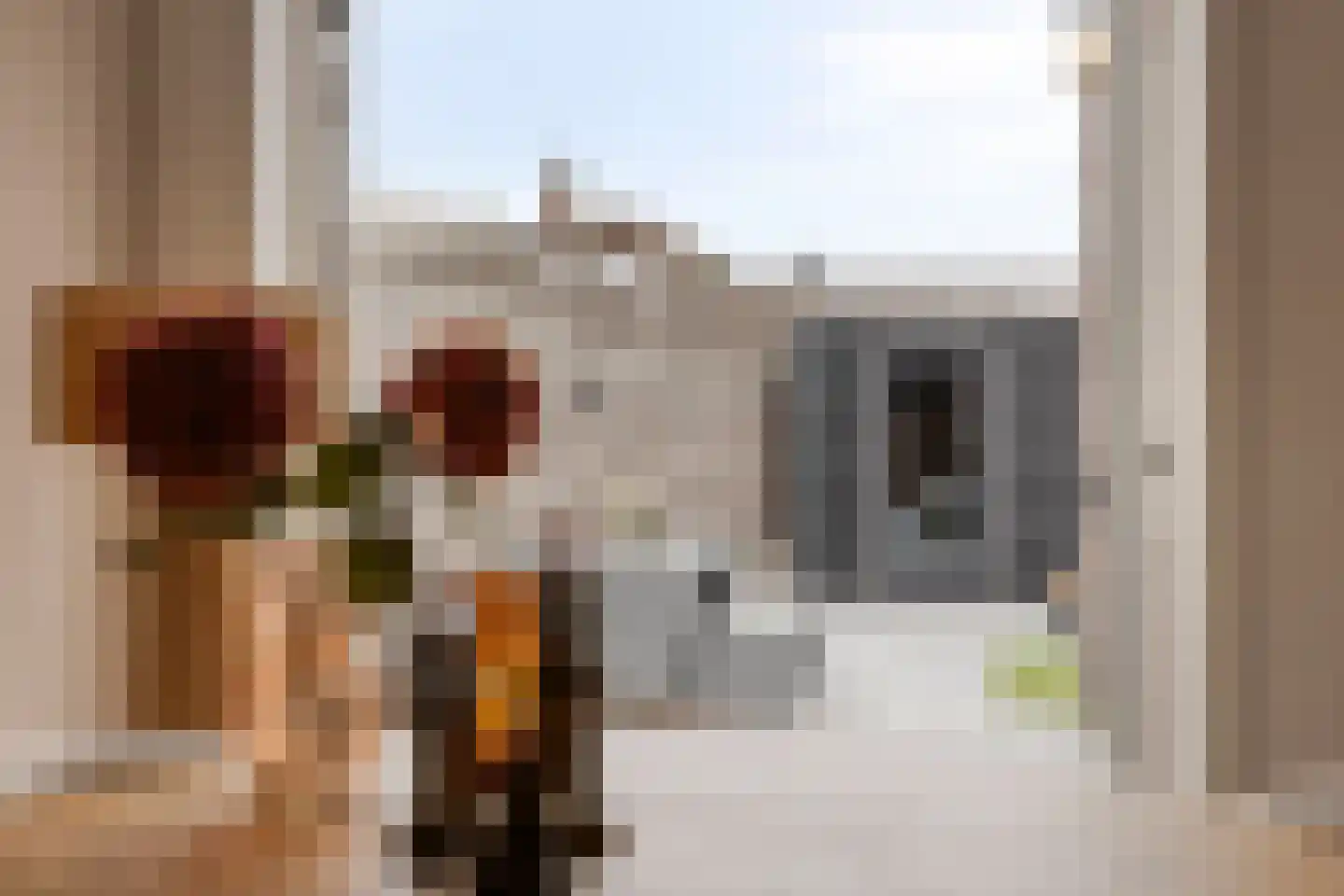 Rozemarijnstraat 30 Eindhoven thumbnail 23