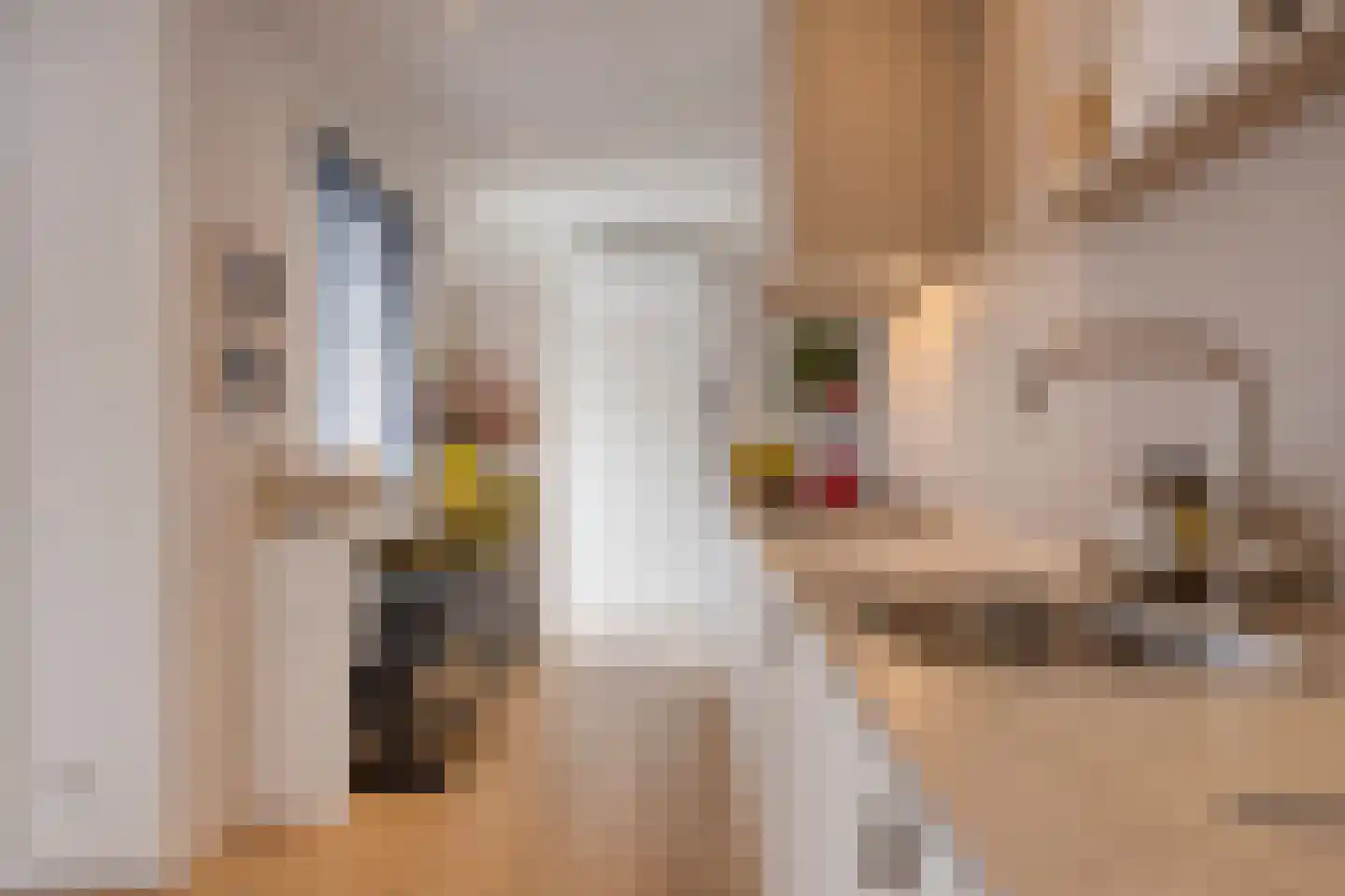 Rozemarijnstraat 30 Eindhoven thumbnail 25