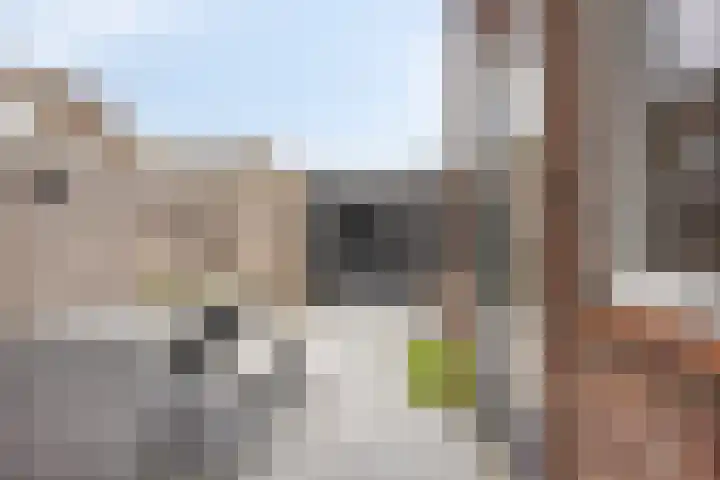 Rozemarijnstraat 30 Eindhoven thumbnail 57