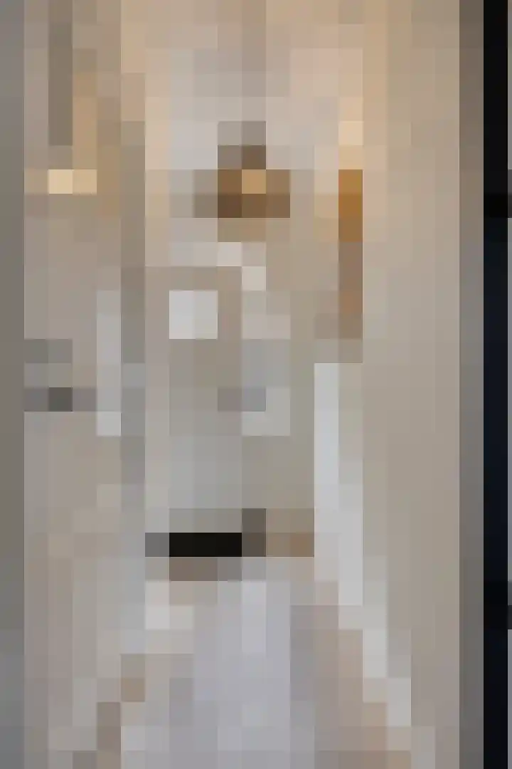 Rozemarijnstraat 30 Eindhoven thumbnail 8