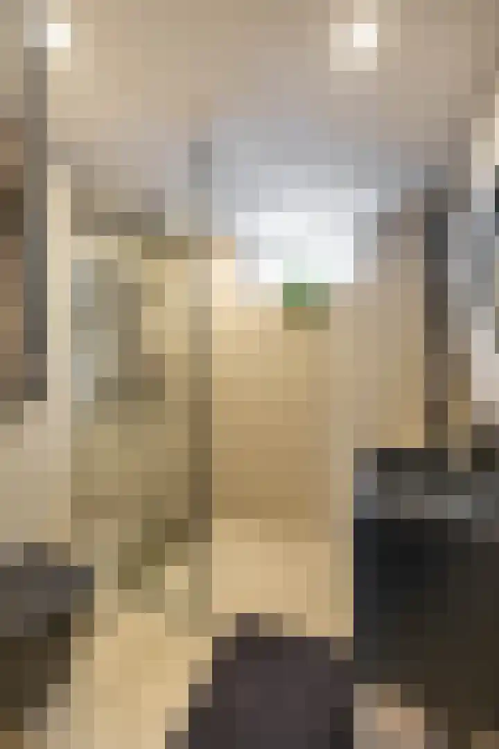 Rozemarijnstraat 33 Groningen thumbnail 32