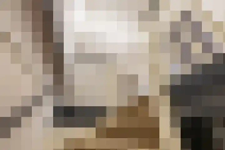 Rozemarijnstraat 33 Groningen thumbnail 35
